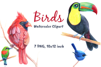Birds Watercolor Cardinal Clip Art