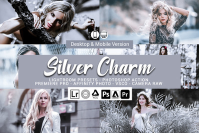 20 Silver Charm Presets,Photoshop actions,LUTS,VSCO
