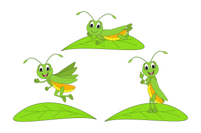 cute grasshopper