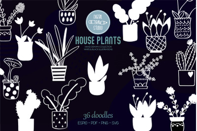 House Plants White | Hand Drawn Cactus | Hanging Indoor Flower Pot
