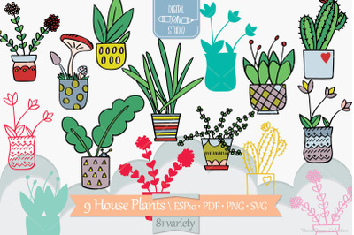 House Plants Color | Hand Drawn Cactus | Hanging Indoor Flower Pot