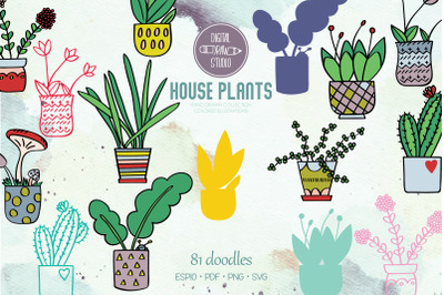 House Plants Color | Hand Drawn Cactus | Hanging Indoor Flower Pot