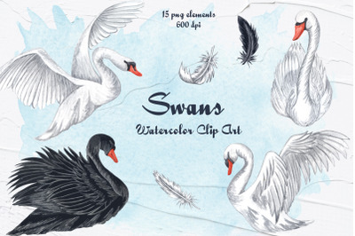 Swans Watercolor Clip Art