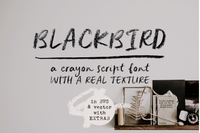 Blackbird crayon script SVG font