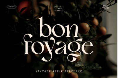 Bon Foyage - Vintage Modern Serif