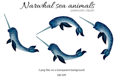 Watercolor narwhal illustration.