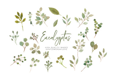 Eucalyptus Greenery Clipart, floral arrangements