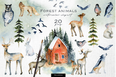 Forest animals