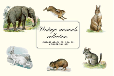 Antique Animal Clipart Set&2C; Vintage Elephant Clipart Graphics