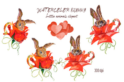 Watercolor rabbit PNG. Little cute animals clipart rabbit