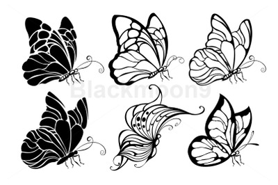 Seated Butterflies