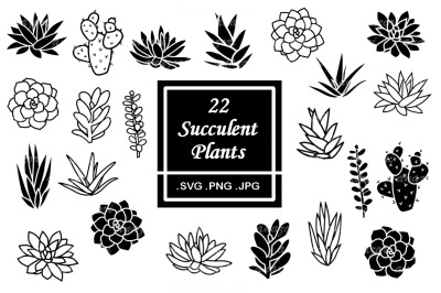 Succulent SVG Bundle - Cactus Clipart