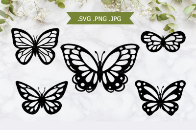 Butterfly SVG - Butterfly Papercut Template