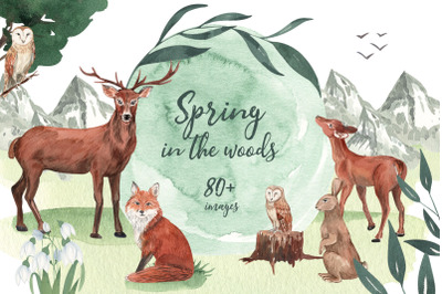 Spring in the Woodlands - Animals and Nature Watercolor