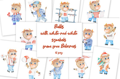 12 Bulls with white-red-white symbols of free Belarus