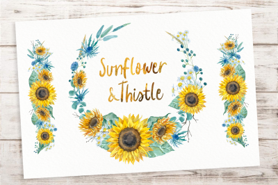 Sunflowers and Thistle Clip Art Set