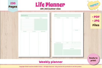 Planner Monthly weekly Printable Pages letter A5 A4
