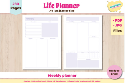 Planner Monthly weekly Printable Pages letter A5 A4