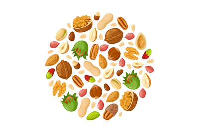 Cartoon seeds and nuts. Almond&2C; peanut&2C; cashew&2C; sunflower seeds&2C; hazel