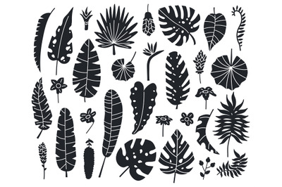 Jungle leaves silhouettes. Exotic palm&2C; banana and monstera monochrome