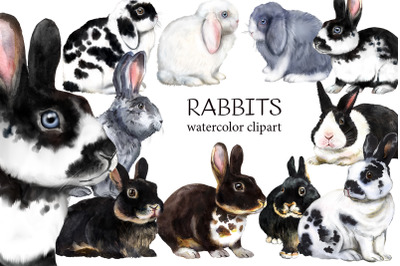 Rabbits watercolor clipart. Pets farm animals, rabbit breeding, animal
