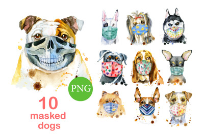 Dogs in face masks