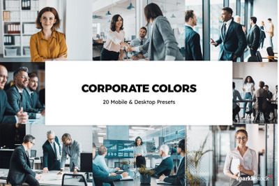 20  Corporate Colors LR Presets