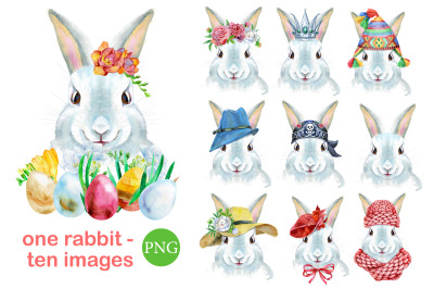 Watercolor white rabbit