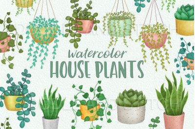 Watercolor Indoor Plants