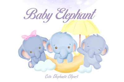 Elephant Clipart Collection