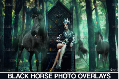 Photoshop overlay: Black horse &amp; Christmas overlay, Gothic Horse png