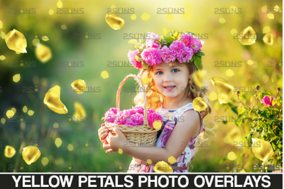 Photoshop overlay: Flower overlays &amp; Rose overlays, Falling rose