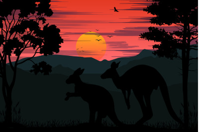 kangaroo and sunset silhouette