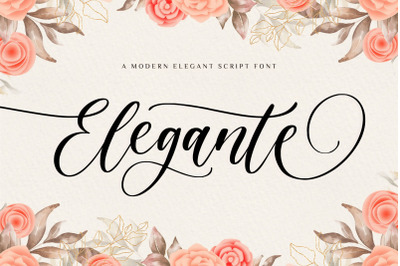 Elegante Modern Elegant Font