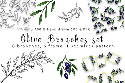 Olive branches set