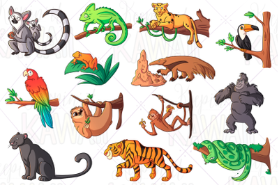 Rainforest Animals Clip Art