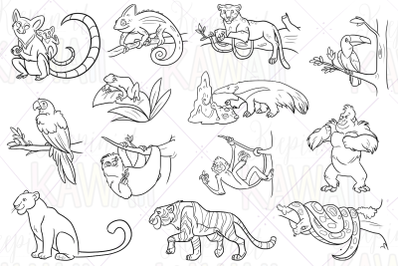 Rainforest Animals Digital Stamps