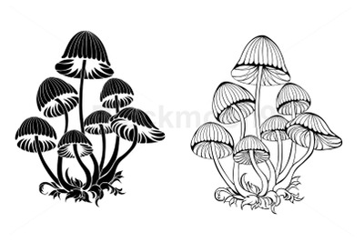 Silhouette Hallucinogenic Mushrooms