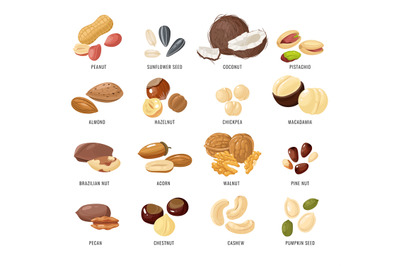 Nuts and seeds. Nut and seed in shell and peeled&2C; Peanut and almond&2C; b