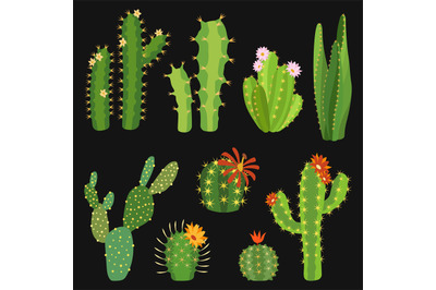 Cactuses. Cactus flower collection&2C; exotic summer green cacti plants w