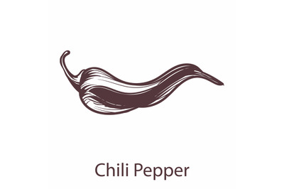 Chili pepper. Detailed organic product sketch, fresh organic vegetable