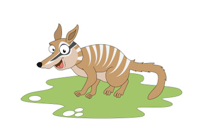 cute numbat animal cartoon, simple vector illustration