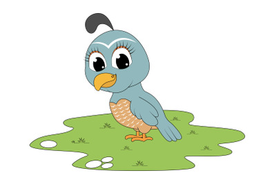 cute quail animal cartoon, simple vector illustration