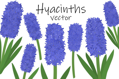 Hyacinths vector. Hyacinth flower. Hyacinth SVG. Flowers SVG