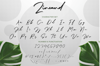 Zincand Modern Script Font