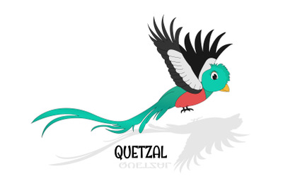 cute quetzal animal cartoon