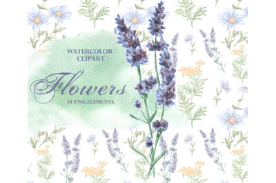 Flowers watercolor clipart. Wildflowers clipart. Summer  bouquet