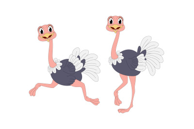 cute ostrich animal cartoon