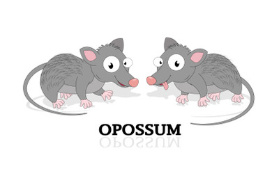 cute opossum animal cartoon