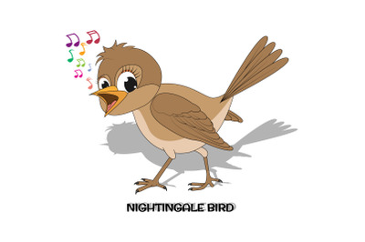 cute nightingale bird animal cartoon